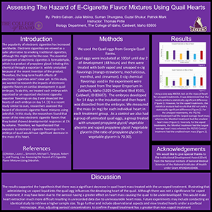 Assessing The Hazard of E-Cigarette Flavor Mixtures Using Quail Hearts
